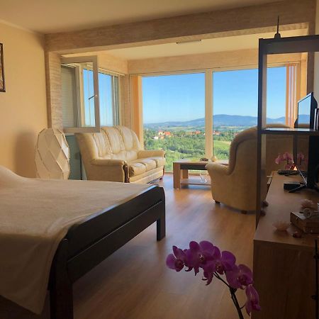 Vila Pogled Arandjelovac Kültér fotó