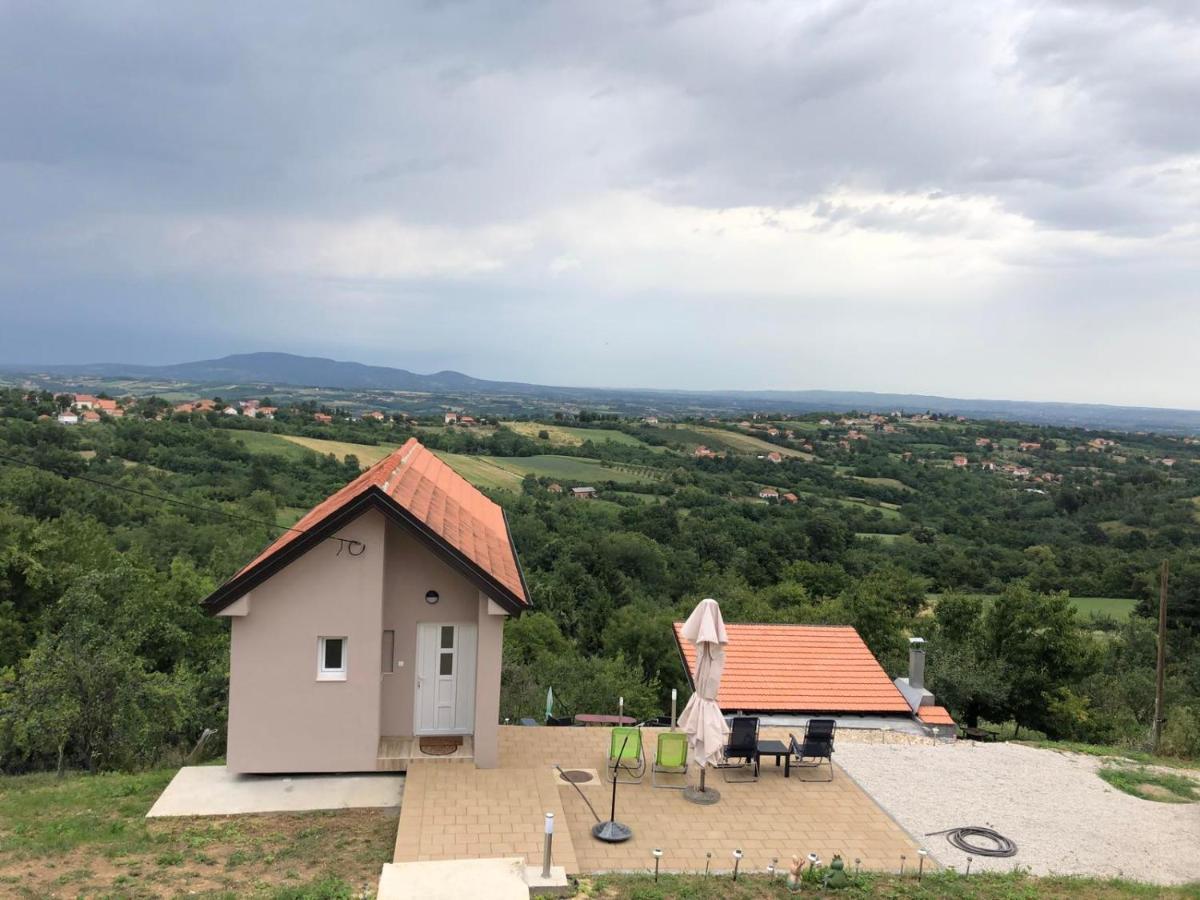 Vila Pogled Arandjelovac Kültér fotó