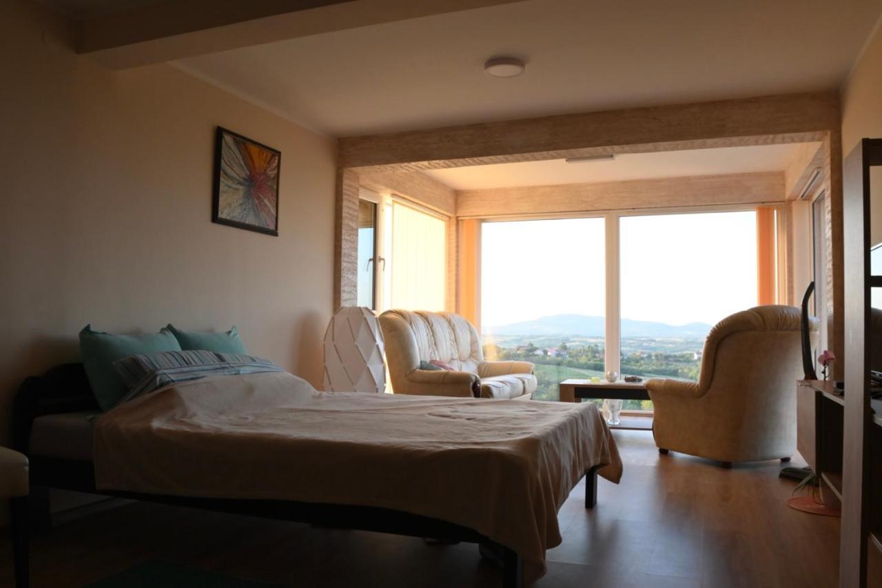 Vila Pogled Arandjelovac Kültér fotó