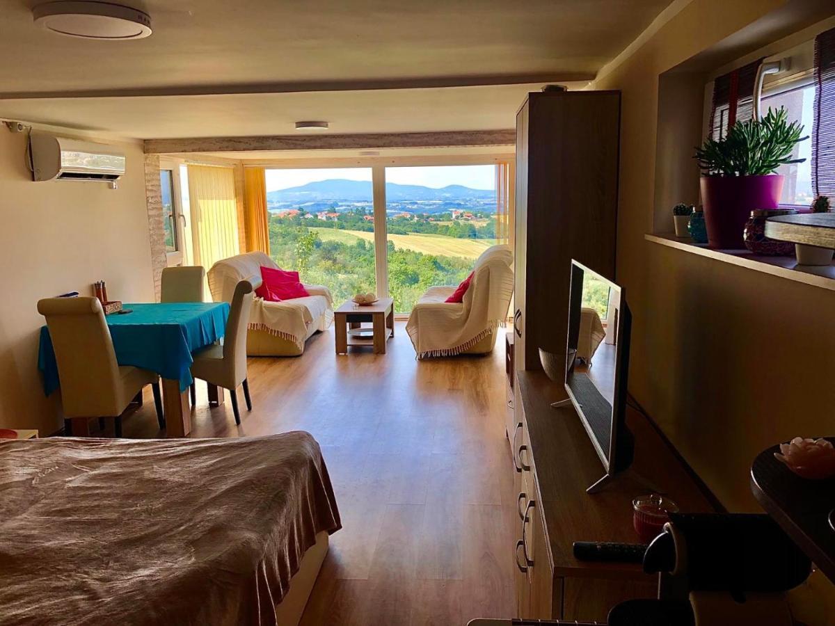 Vila Pogled Arandjelovac Kültér fotó