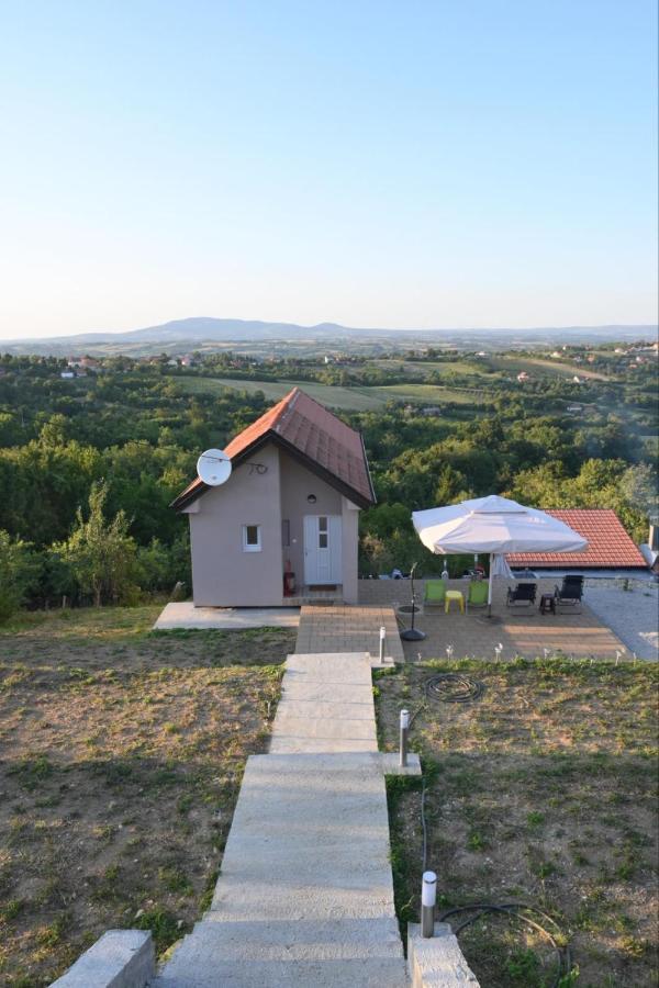 Vila Pogled Arandjelovac Kültér fotó
