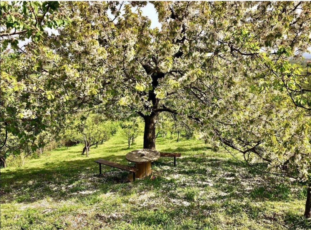 Vila Pogled Arandjelovac Kültér fotó